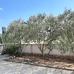 Pajo